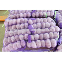 Bulk Garlic en venta